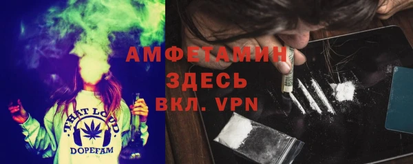прущие грибы Беломорск