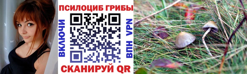 Галлюциногенные грибы прущие грибы  Купить  Белоярский 